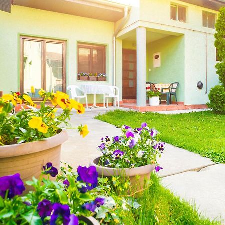 Apartmani Slavica Ягодина Екстериор снимка
